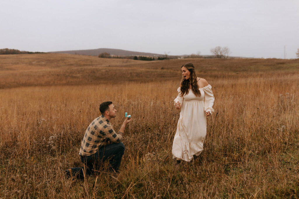 If you haven't gotten engaged yet, consider booking a session for a surprise proposal like this one! 