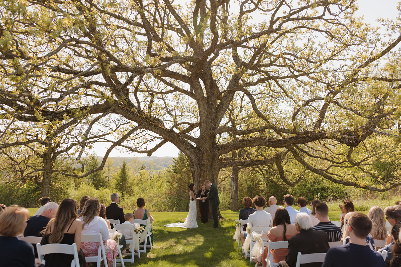 Wide-angle view of an intimate outdoor wedding ceremony under a massive oak tree in Madison, Wisconsin, with guests seated in white chairs – showcasing one of the most romantic intimate wedding ideas for nature-loving couples.