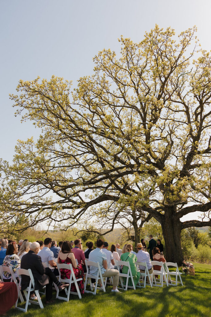 Guests seated under the canopy of a blossoming oak tree in Wisconsin, watching an outdoor wedding ceremony unfold – a dreamy setting that fits so many intimate wedding ideas perfectly.