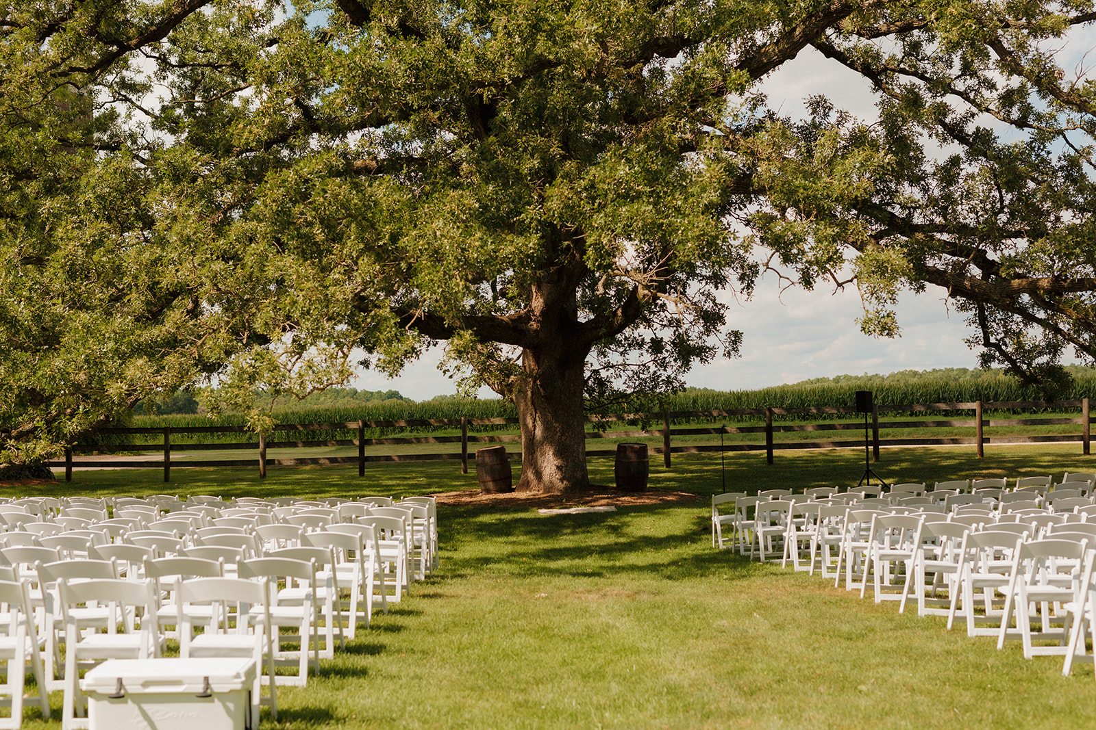 Wide open grassy area with tall tree and white wedding chairs set up for outdoor wedding ceremony