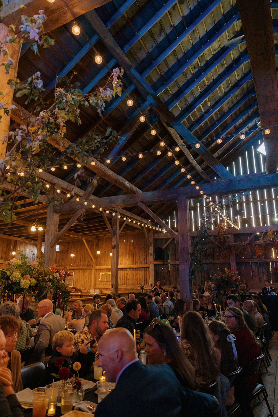 Indoor reception inside of a barn with wooden beams, string lights, and tons of greenery while guests sit at long banquet tables