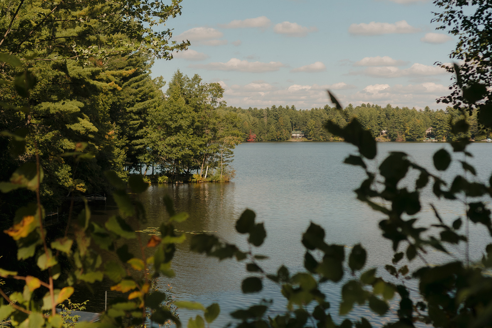 Scenic lake view framed by trees, blue sky, and fluffy clouds in northern Wisconsin.