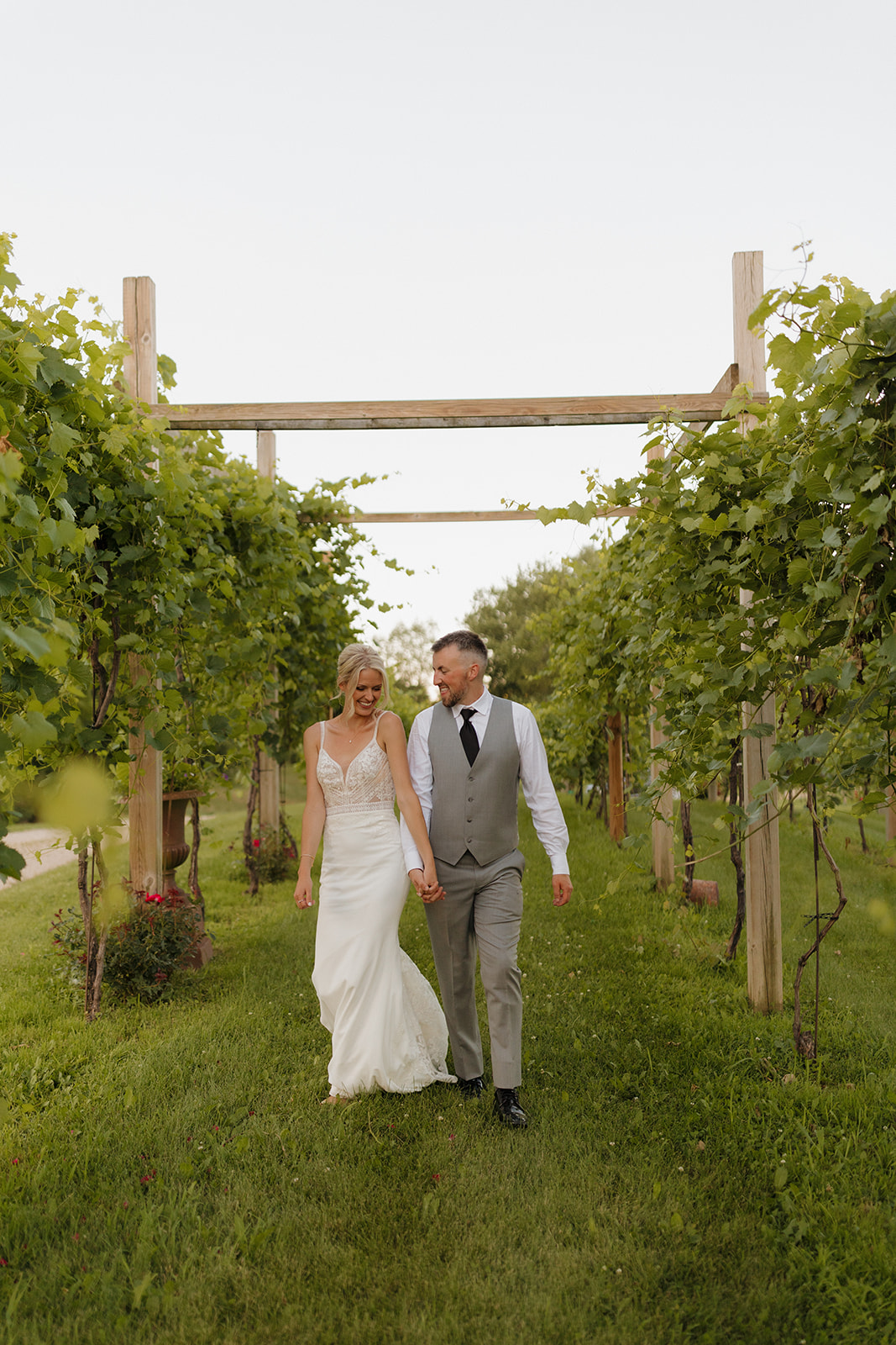 Bride and groom walk hand in hand through a vineyard aisle, framed by grapevines and soft evening light.