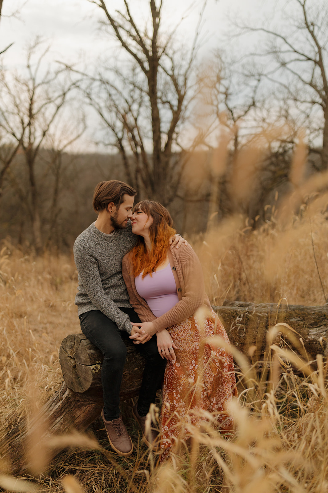 A cozy autumn engagement moment as a couple sits on a fallen log surrounded by tall golden grass, photographed by a madison WI wedding photographer.
