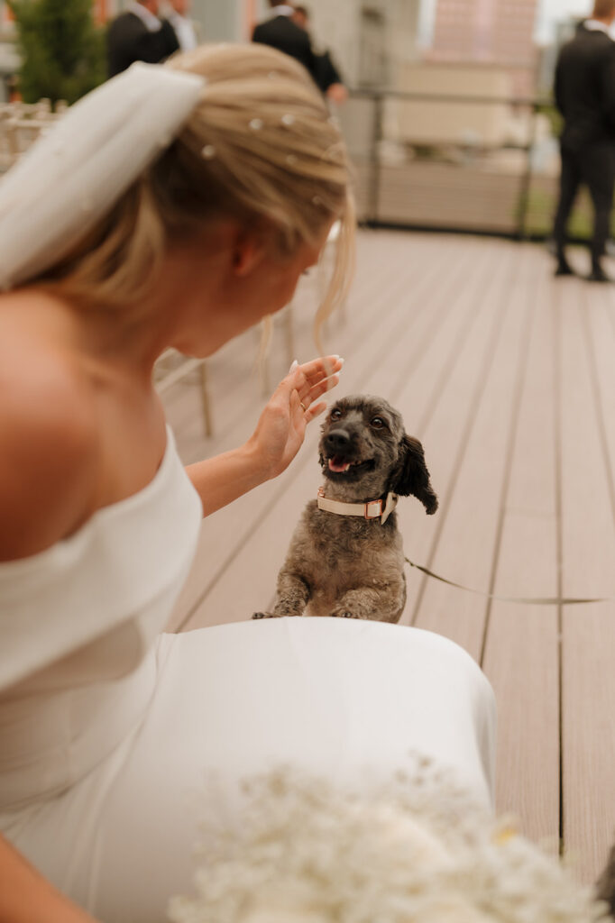 Bride smiling at her dog, who’s standing on hind legs for a paw-five during the wedding day.