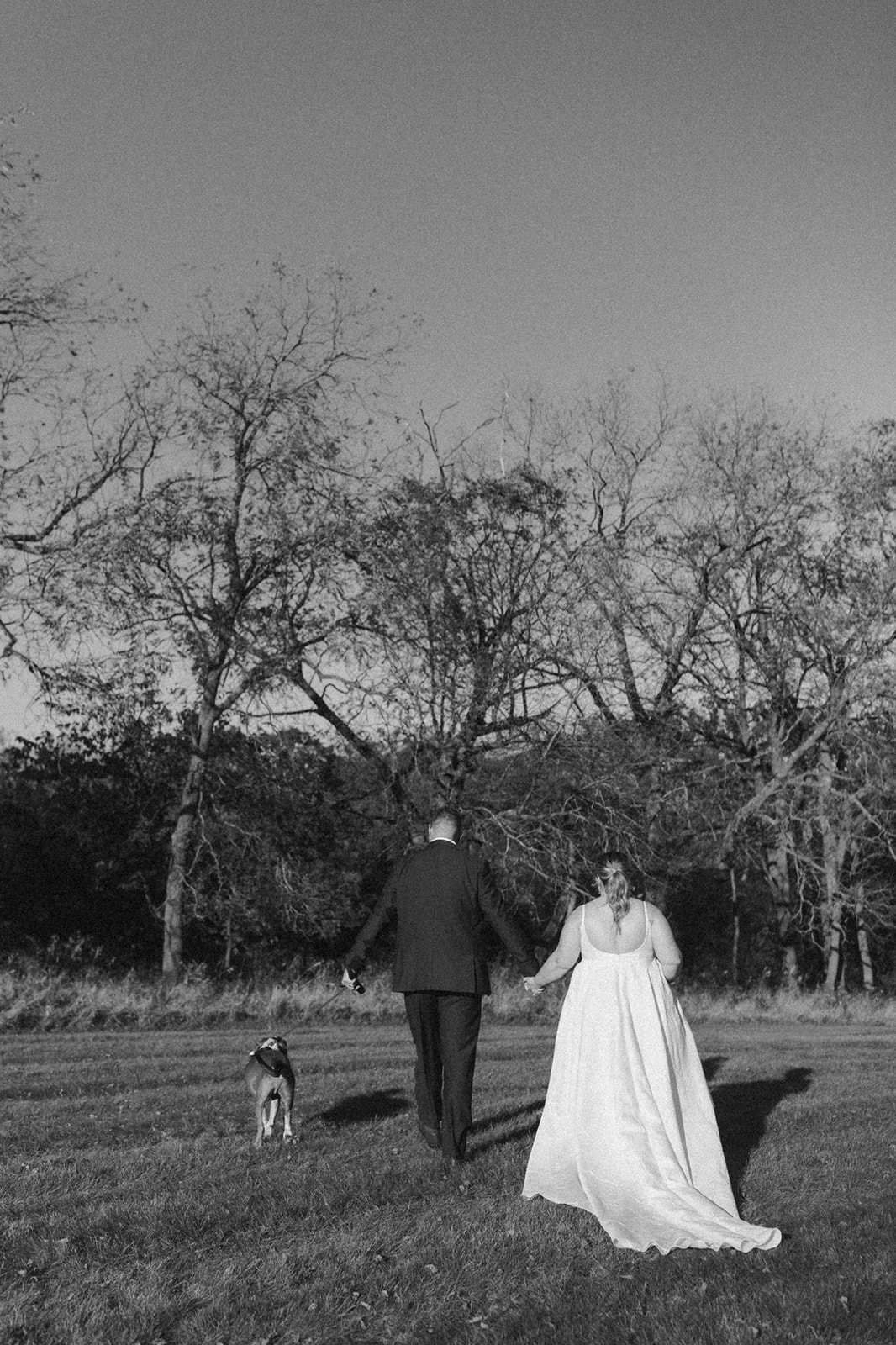Black and white photo of couple walking hand-in-hand with their dog across a grassy field.