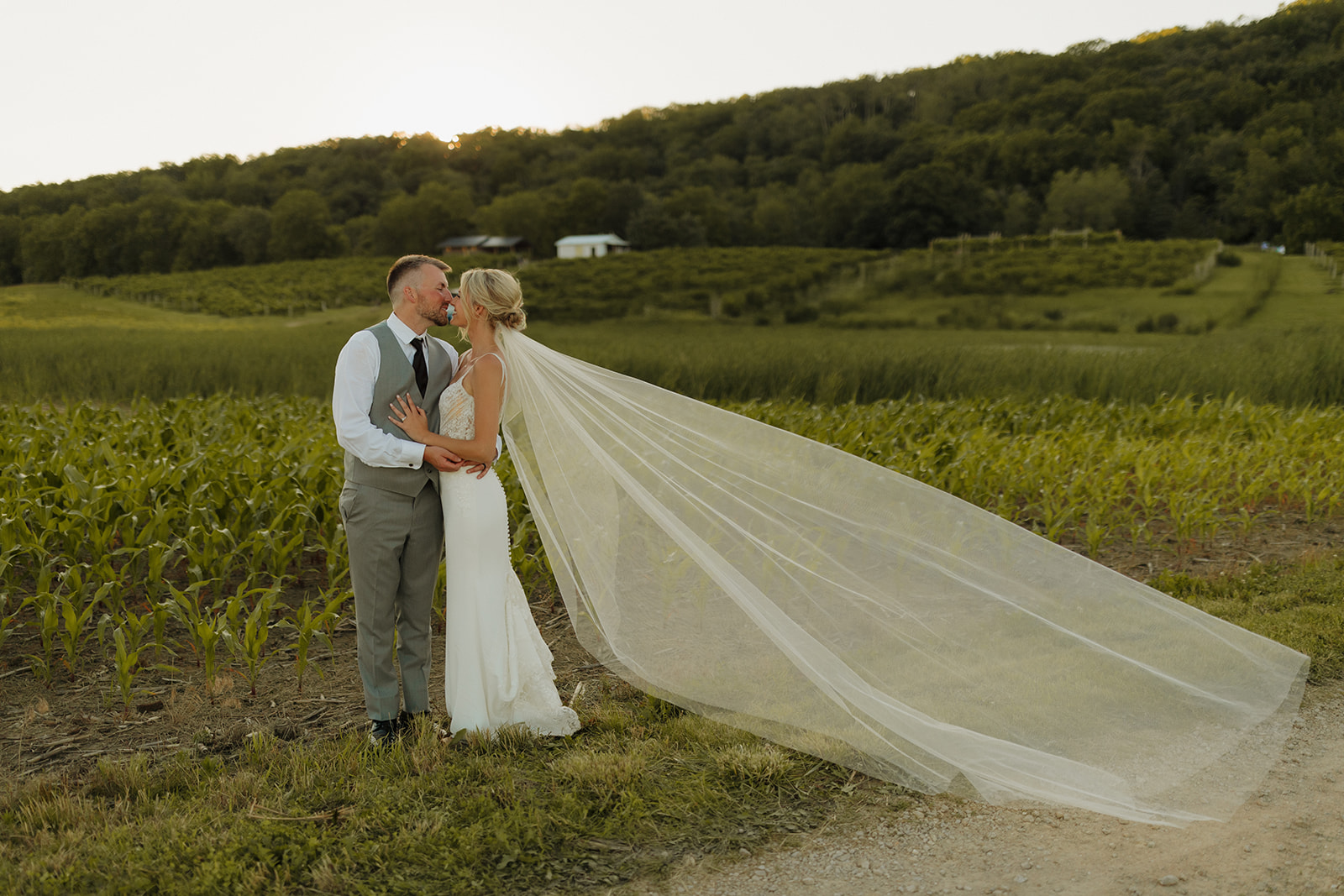 Bride and groom share a kiss at sunset, her veil flowing dramatically behind her in a vineyard at a Wisconsin winery wedding venue.