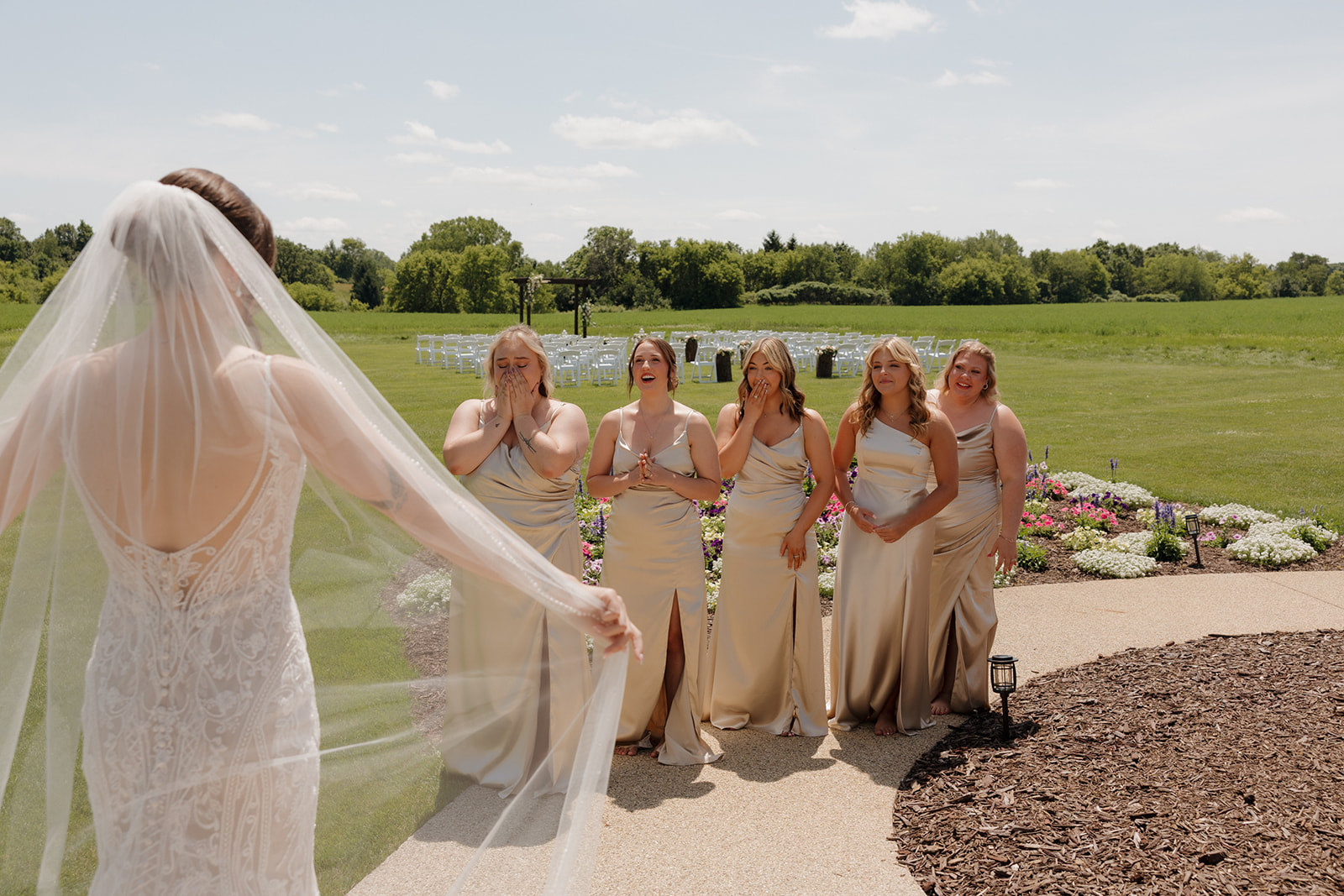 Bridesmaids reacting with excitement as the bride reveals her wedding dress outdoors, captured by a madison wisconsin wedding photographer.