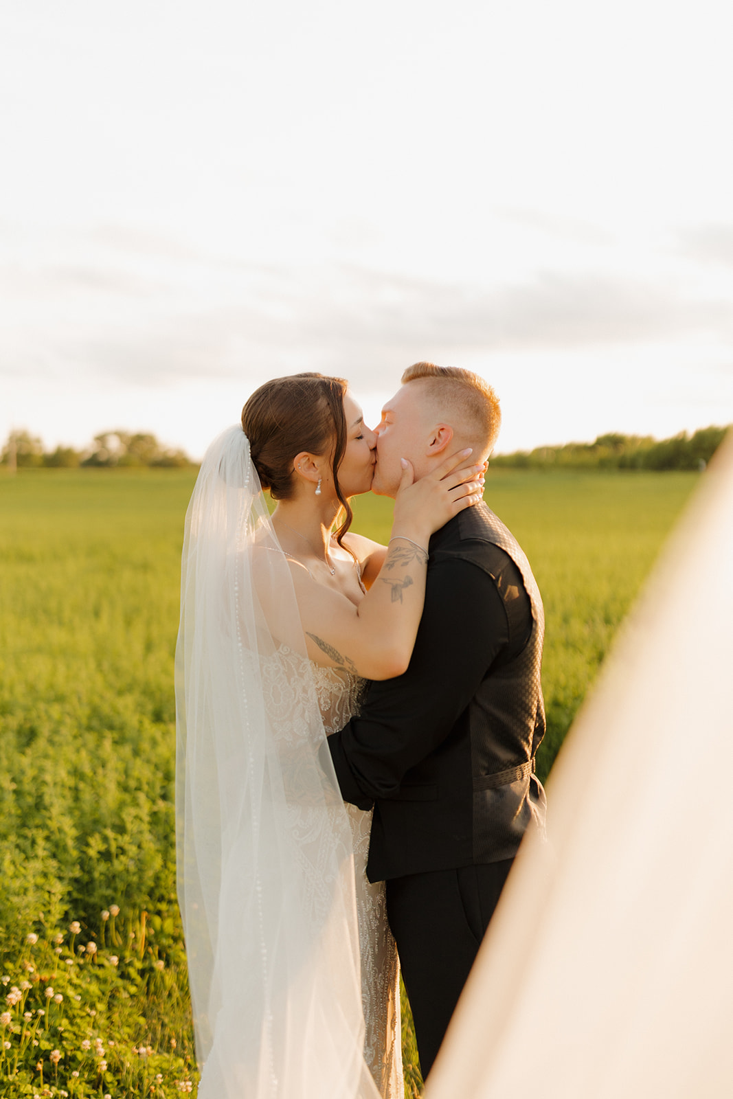 Bride and groom share a kiss in a green field at sunset, her veil catching the light as a madison wisconsin wedding photographer captures the moment.