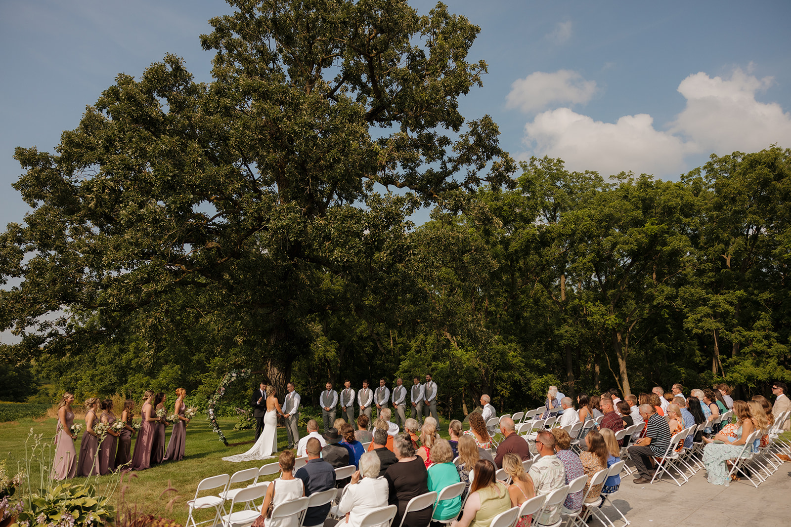 Wide shot of the ceremony with rows of guests and the bridal party under a massive oak tree.