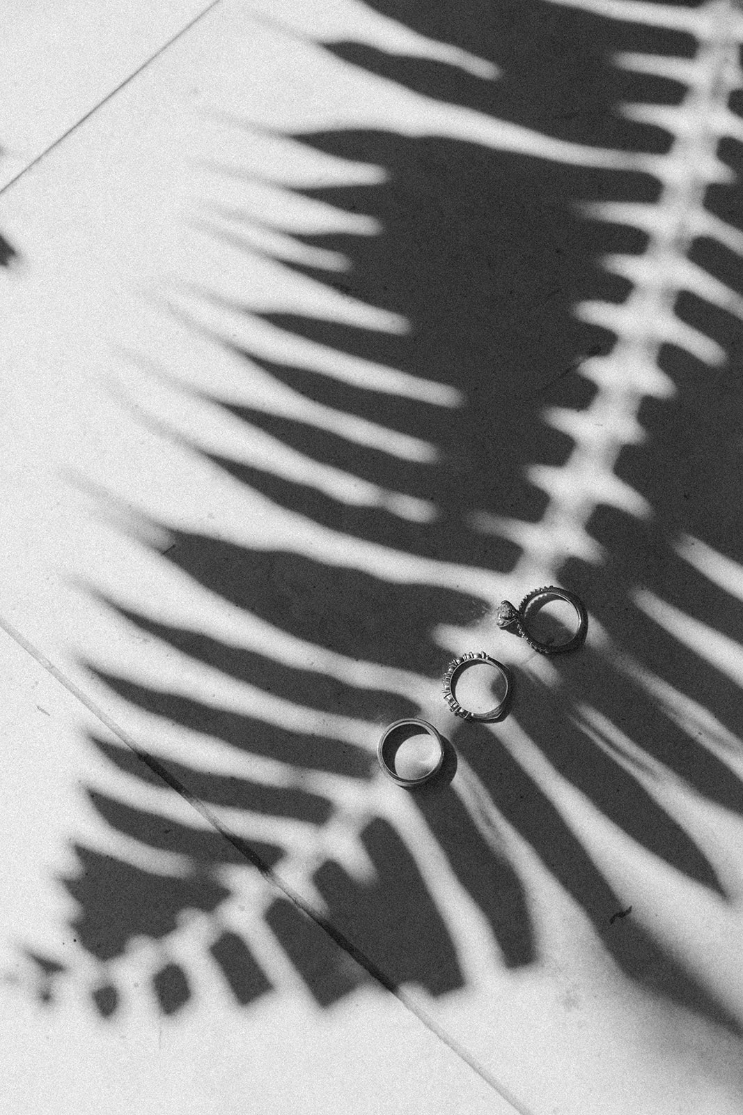 Wedding rings styled with palm shadows during a Florida beach wedding

